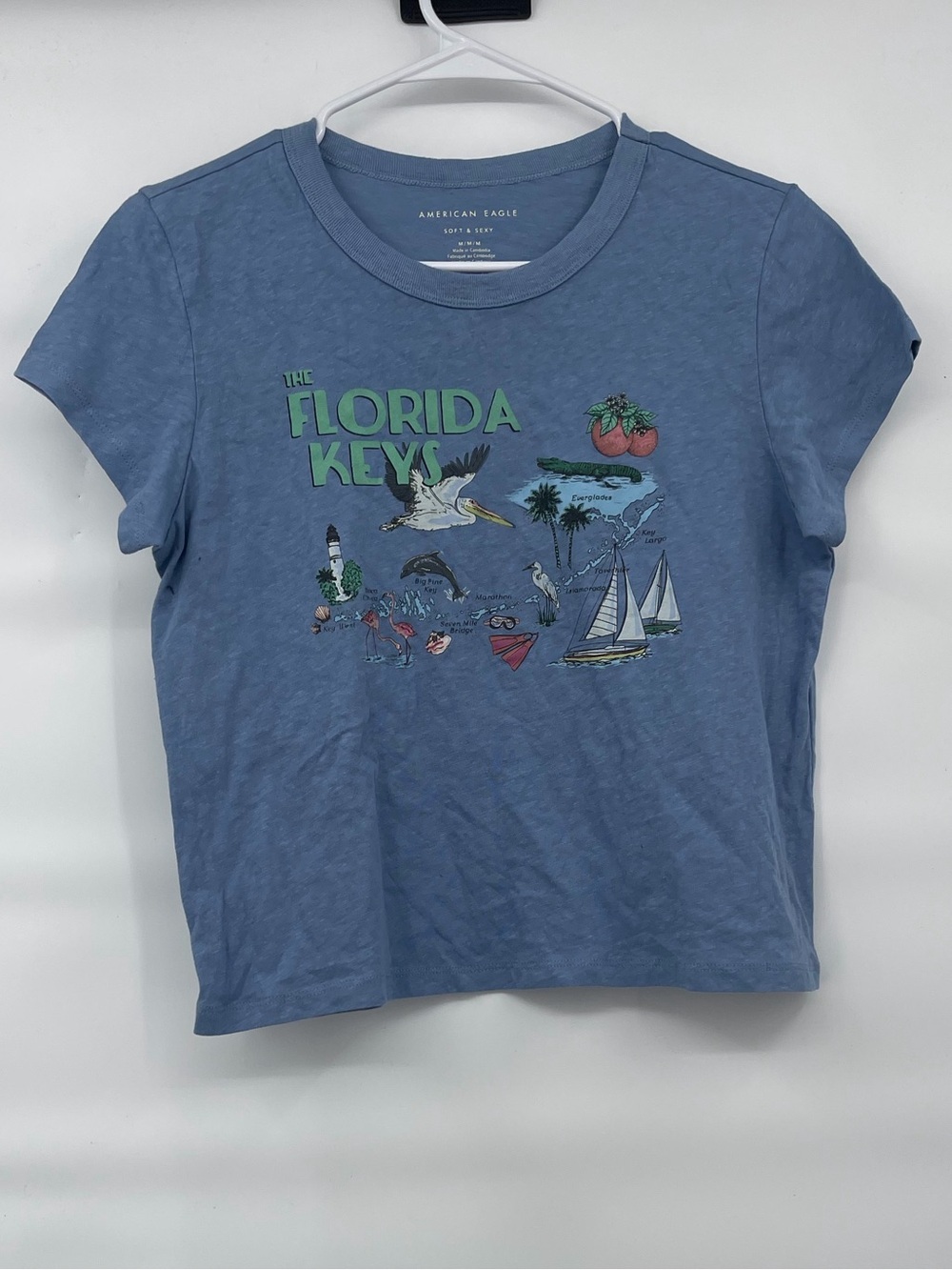 American Eagle nwot soft and sexy Florida keys graphic short sleeve crop tee
